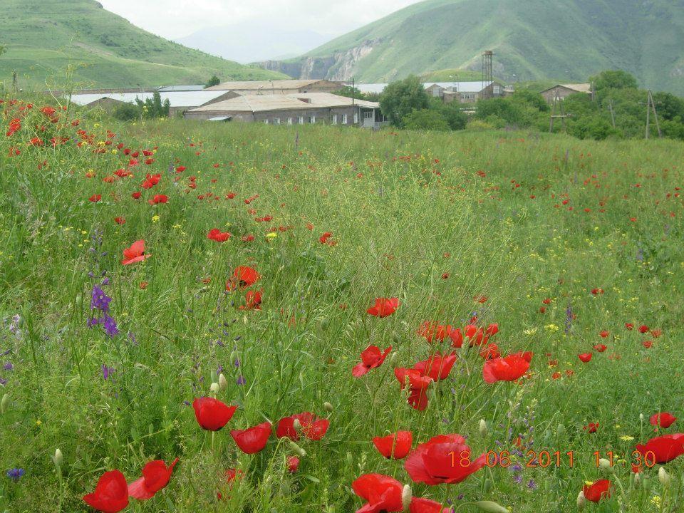 Azoyan Holiday Resort Sisian Zewnętrze zdjęcie