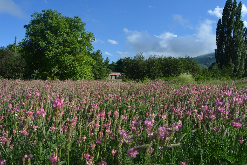 Azoyan Holiday Resort Sisian Zewnętrze zdjęcie